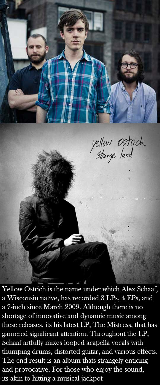 yellowostrichshow_4f1ba5ea.jpg